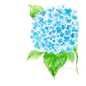 卒業アルバム挿絵 紫陽花